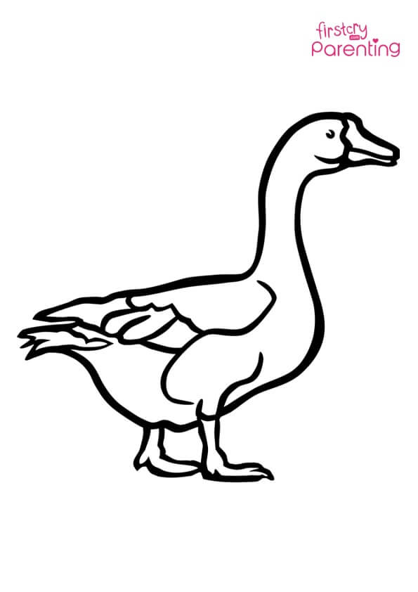 45 Goose Coloring Page 6