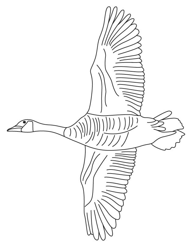 45 Goose Coloring Page 8