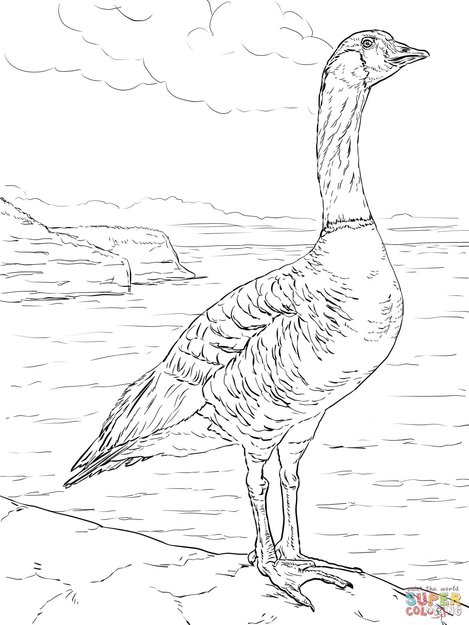 45 Goose Coloring Page 9