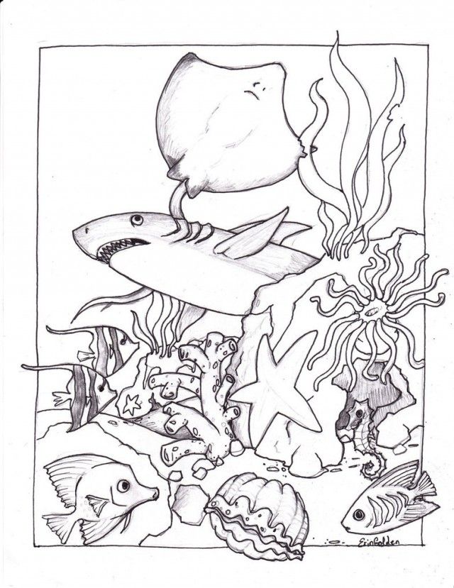 45 Ocean Coloring Sheet 14