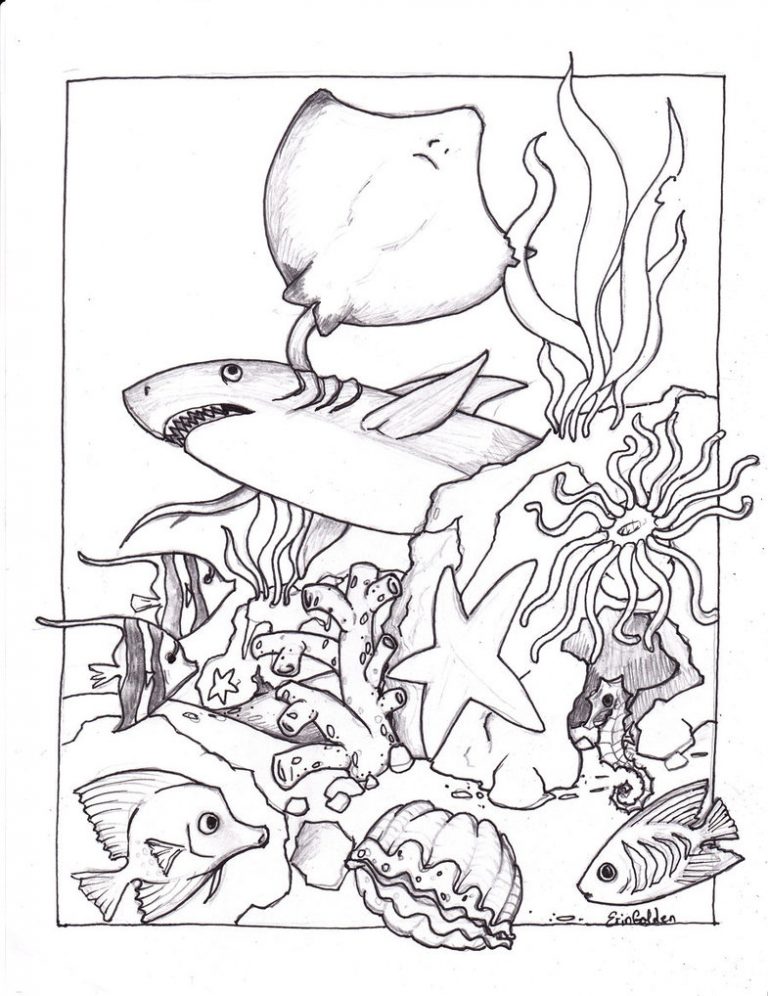 45 Ocean Coloring Sheet 20