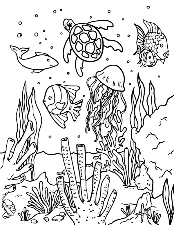 45 Ocean Coloring Sheet 25