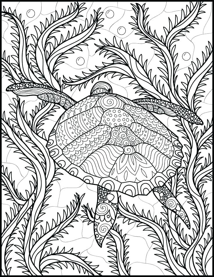 45 Ocean Coloring Sheet 52