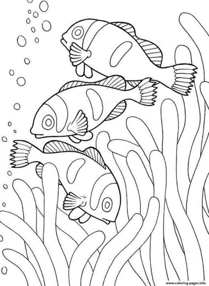 45 Ocean Coloring Sheet 54