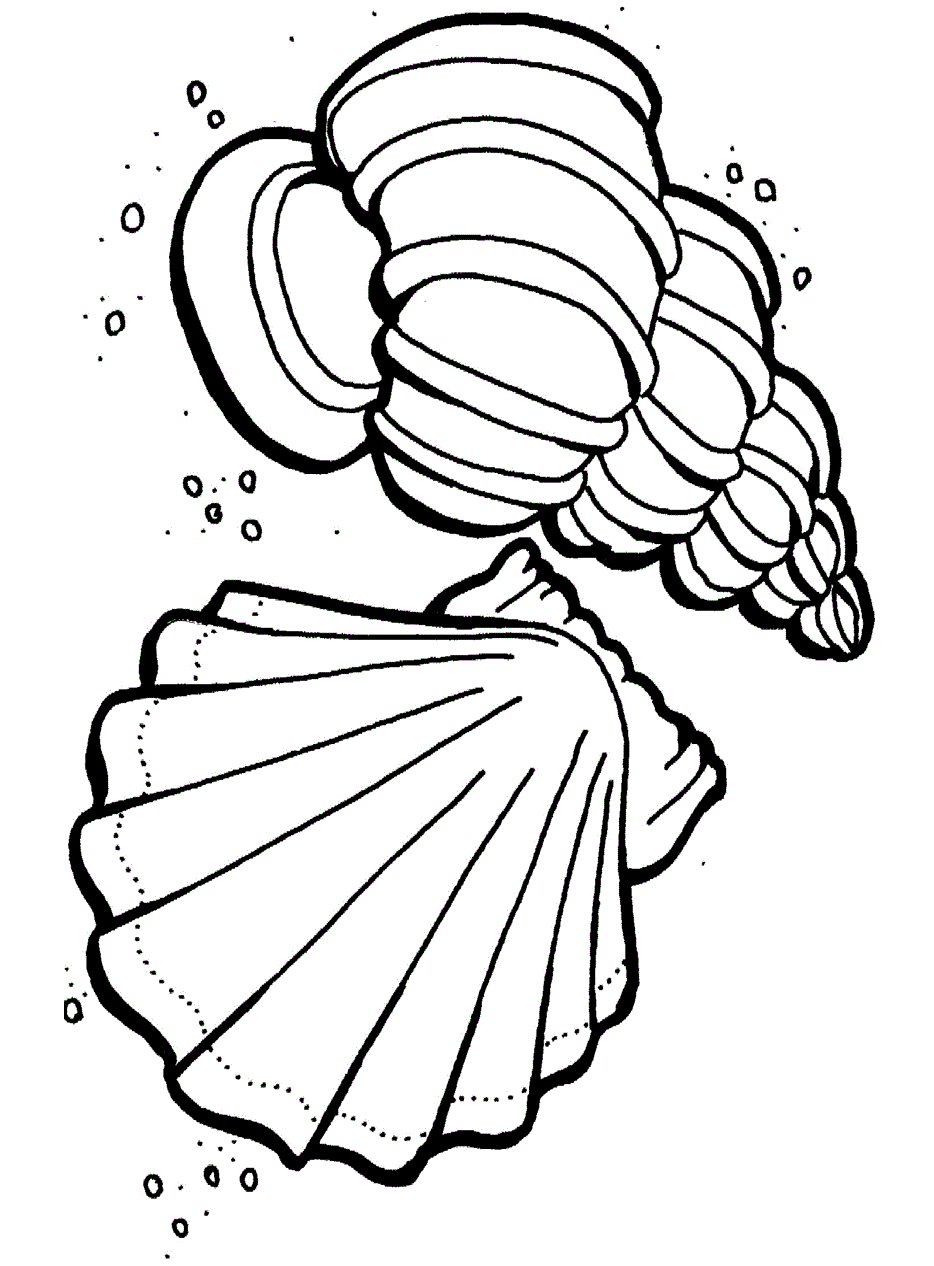 45 Ocean Coloring Sheet 62