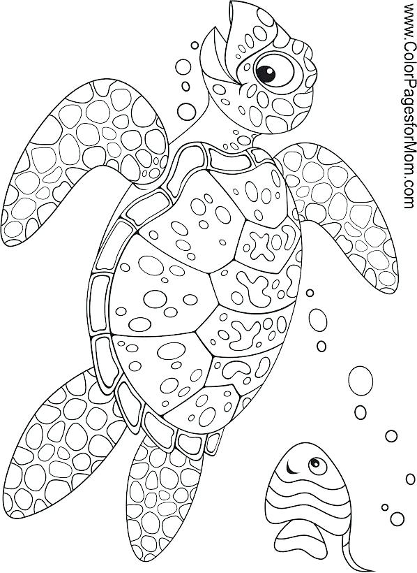 45 Ocean Coloring Sheet 63