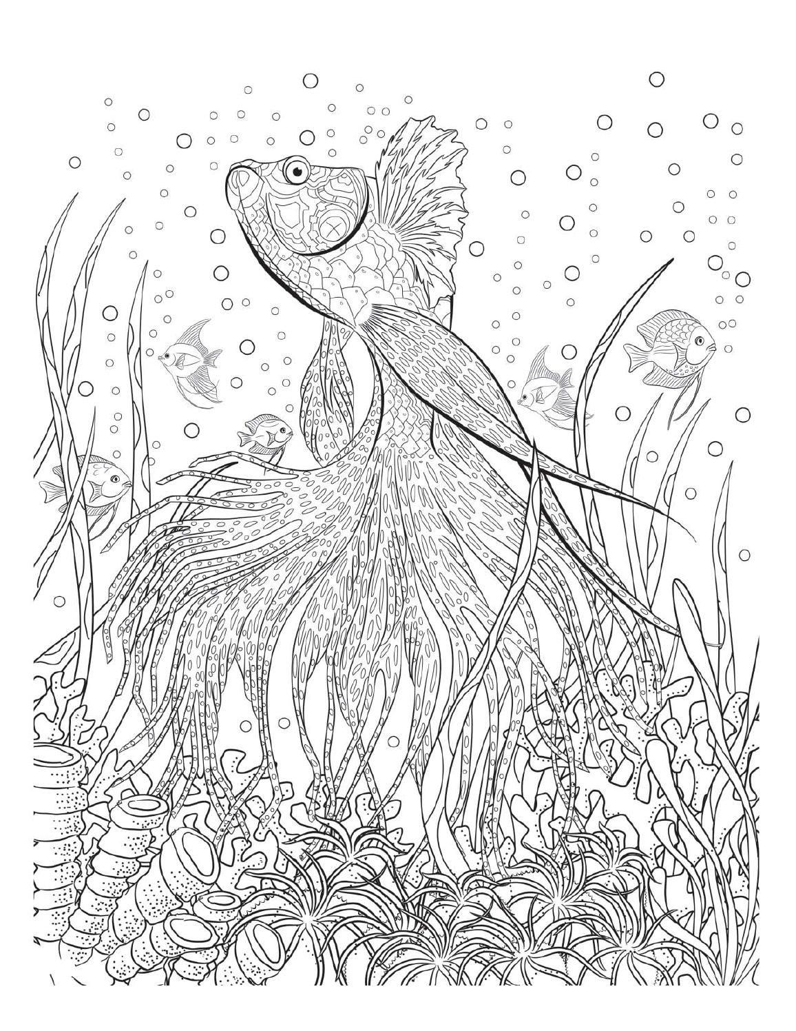 45 Ocean Coloring Sheet 65