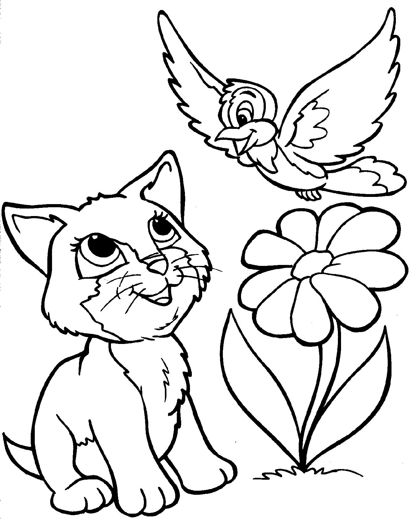 50 Cat Coloring Pages Cute 20