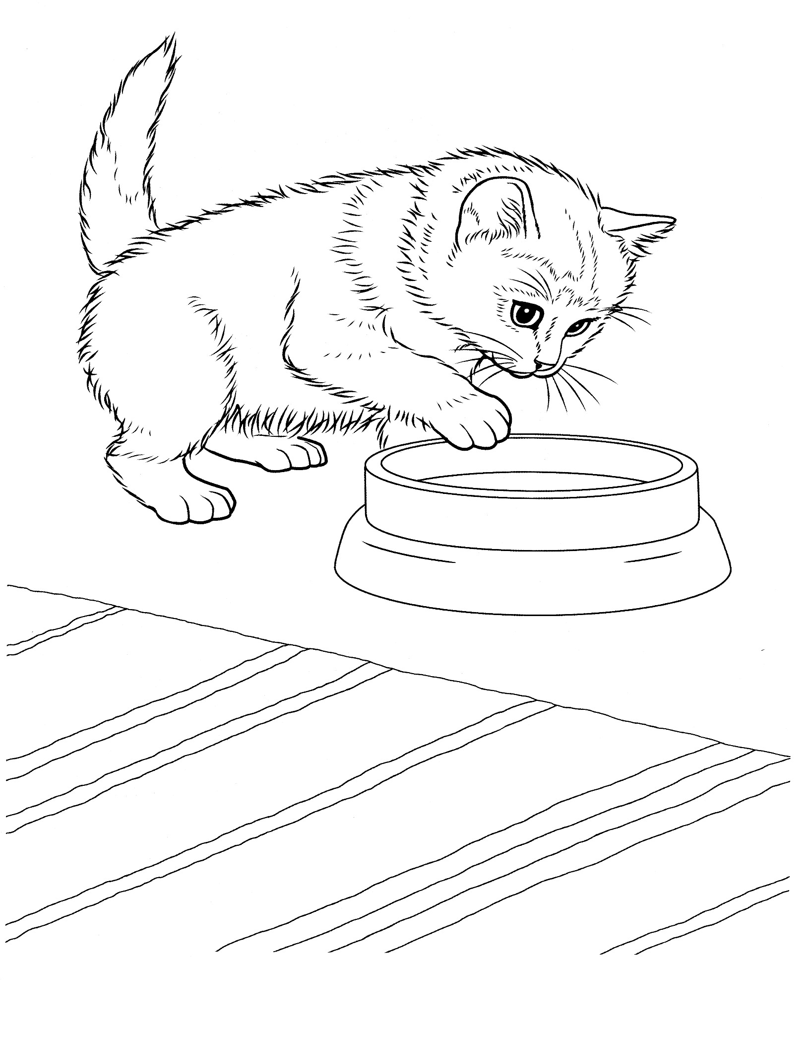 50 Cat Coloring Pages Cute 41