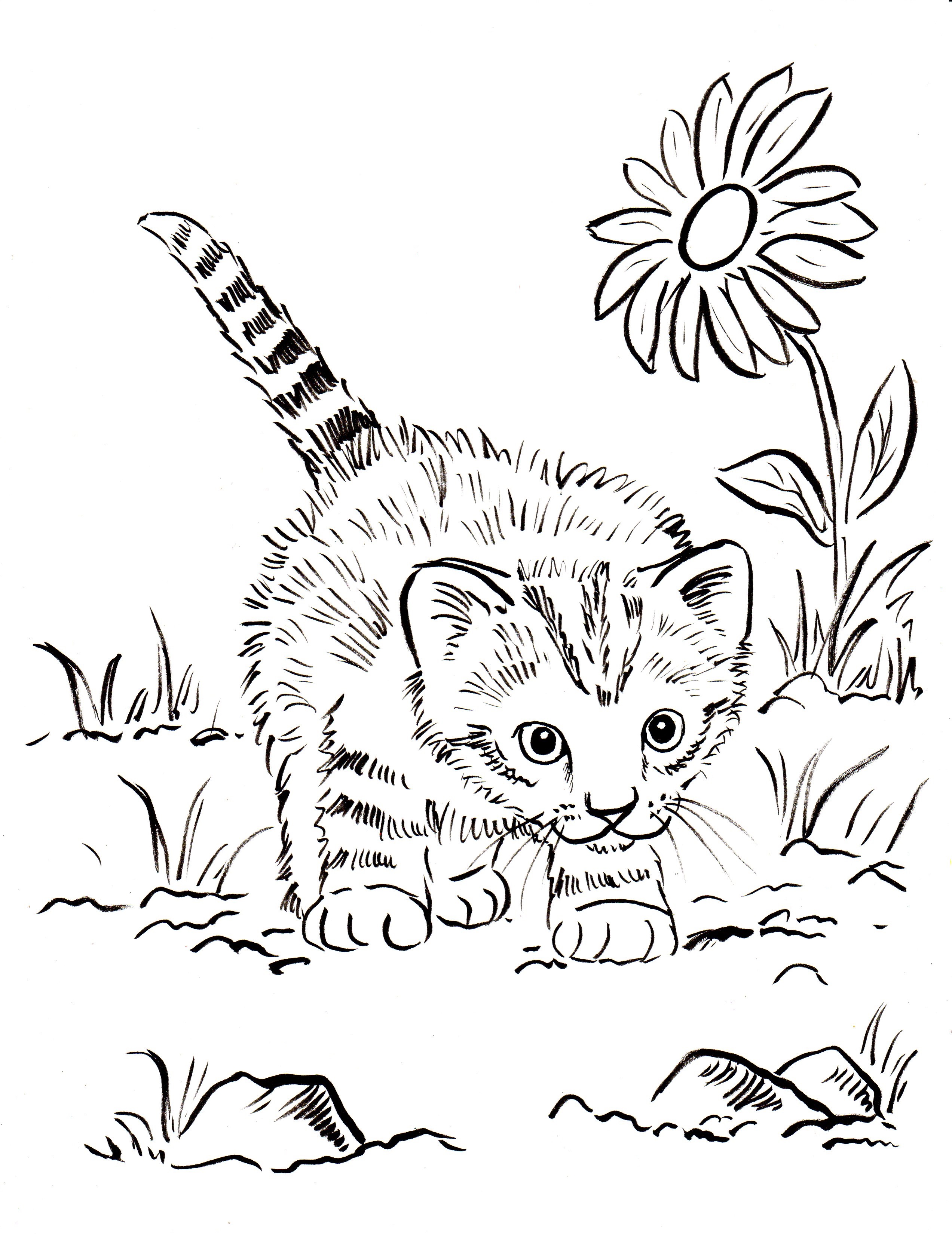 50 Cat Coloring Pages Cute 54