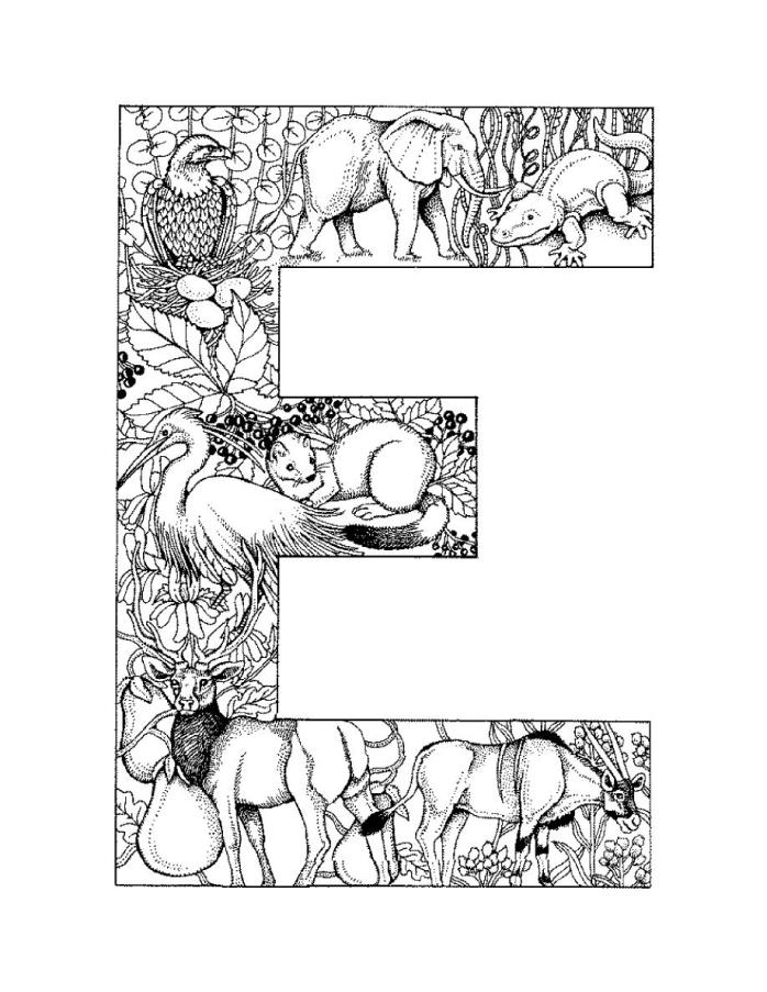 50 Coloring Pages E 50