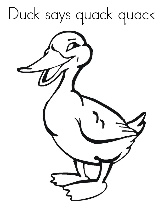 55 Coloring Sheet Duck 12