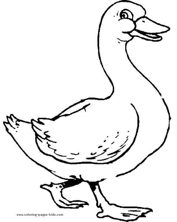 55 Coloring Sheet Duck 14