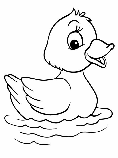 55 Coloring Sheet Duck 16