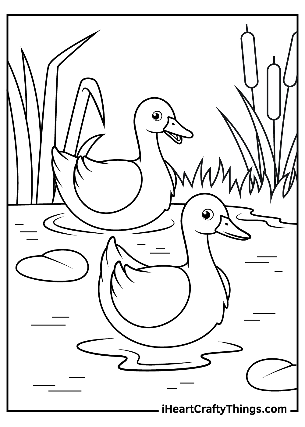 55 Coloring Sheet Duck 18