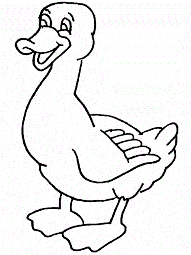 55 Coloring Sheet Duck 19