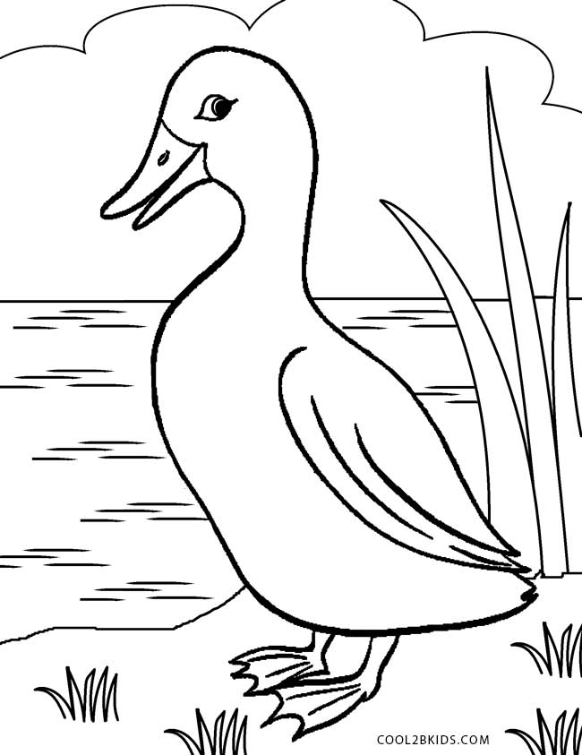 55 Coloring Sheet Duck 20