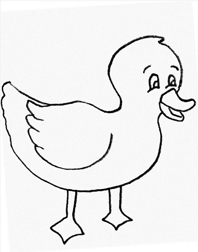 55 Coloring Sheet Duck 21