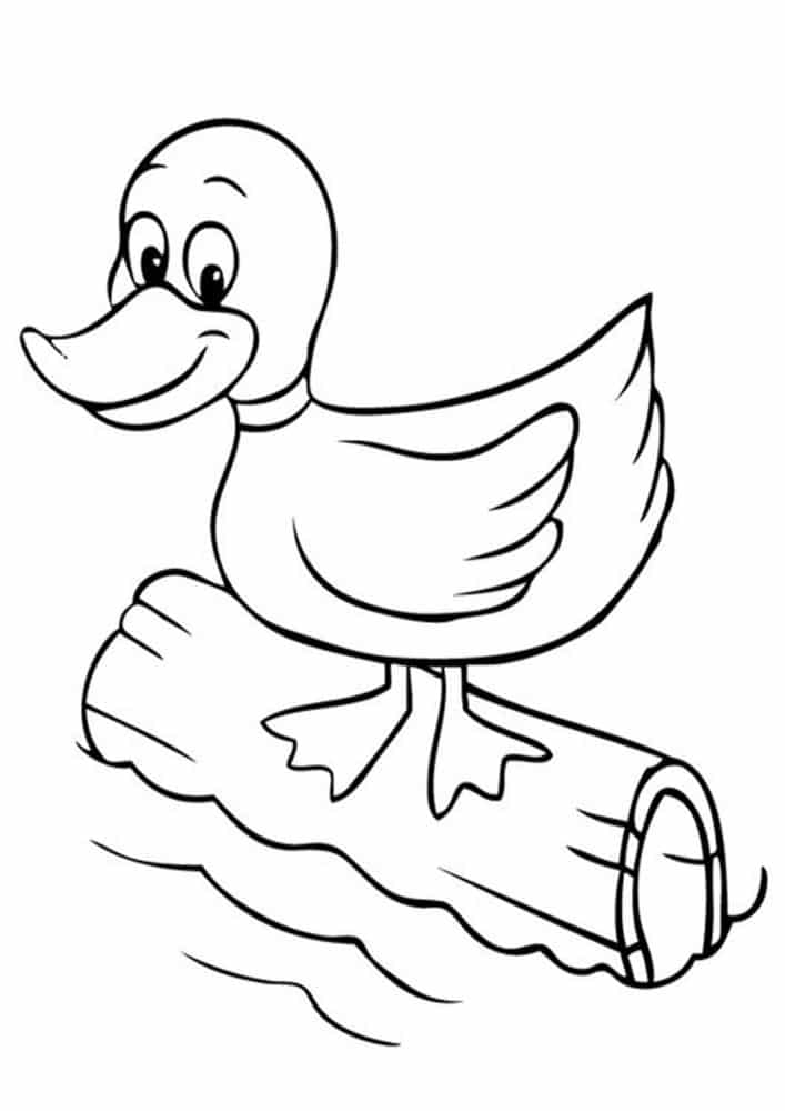 55 Coloring Sheet Duck 22