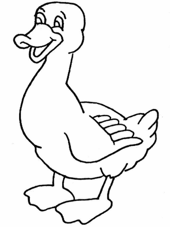 55 Coloring Sheet Duck 24