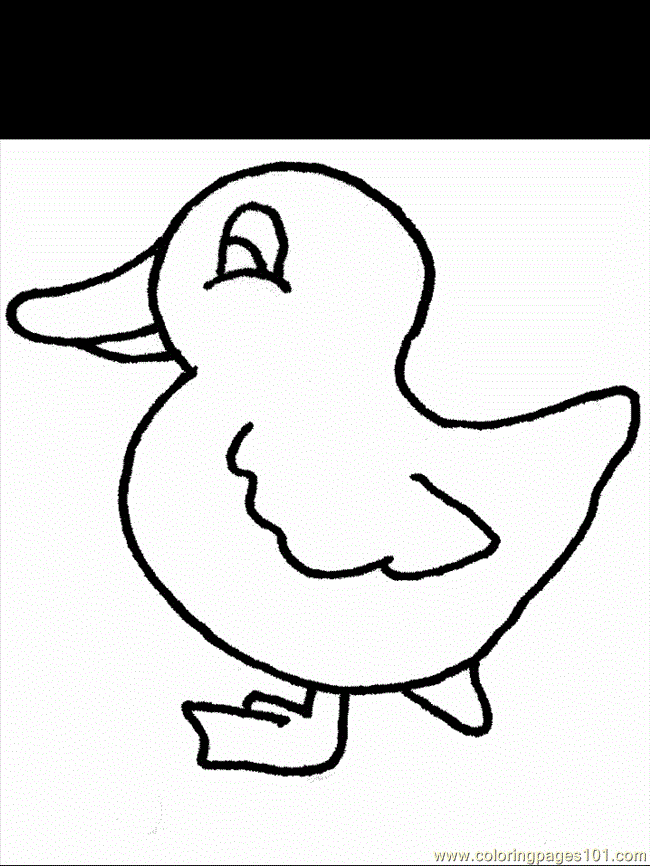 55 Coloring Sheet Duck 25