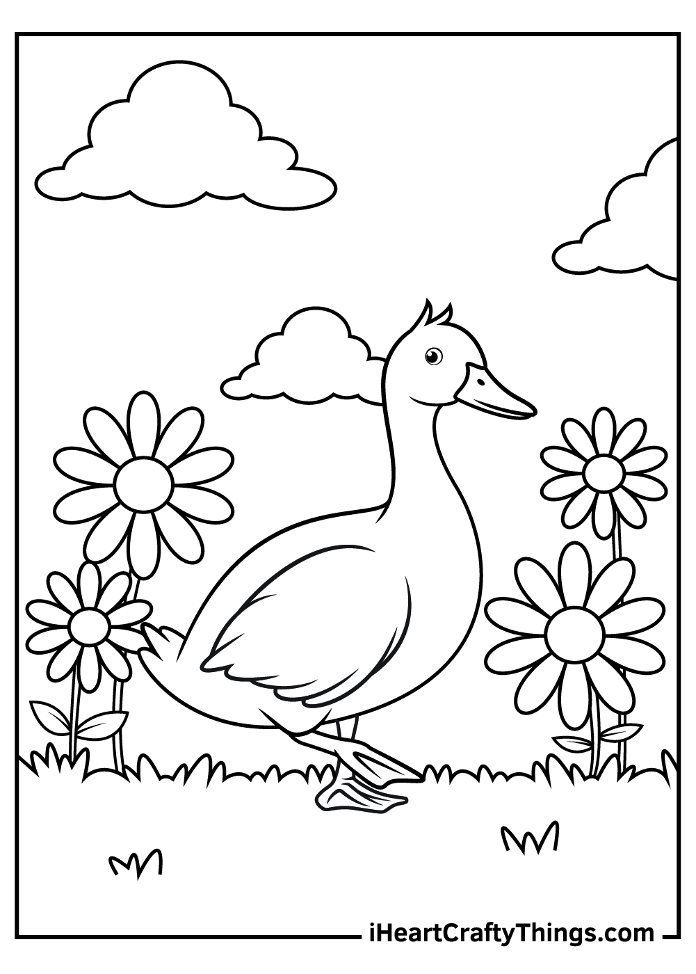 55 Coloring Sheet Duck 28