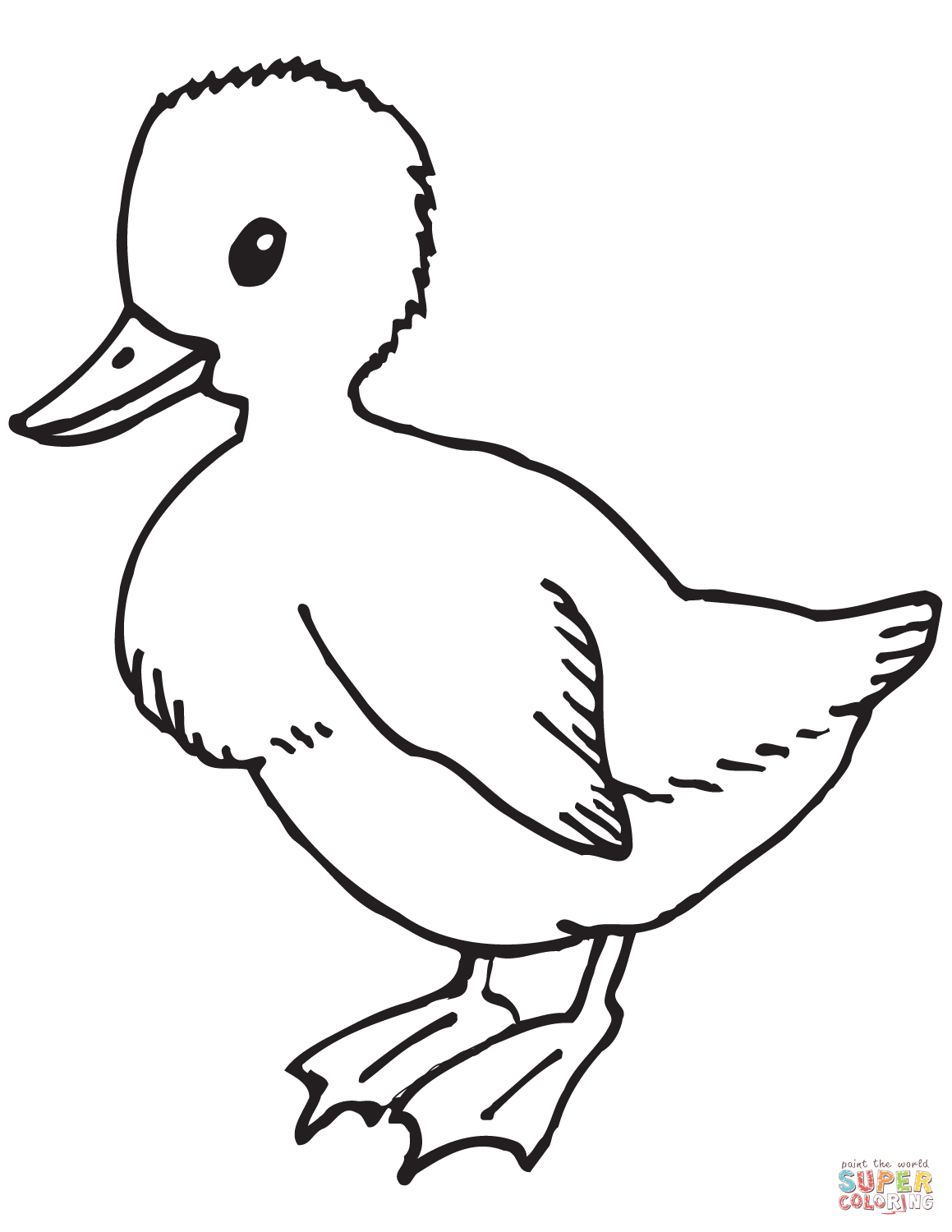 55 Coloring Sheet Duck 29