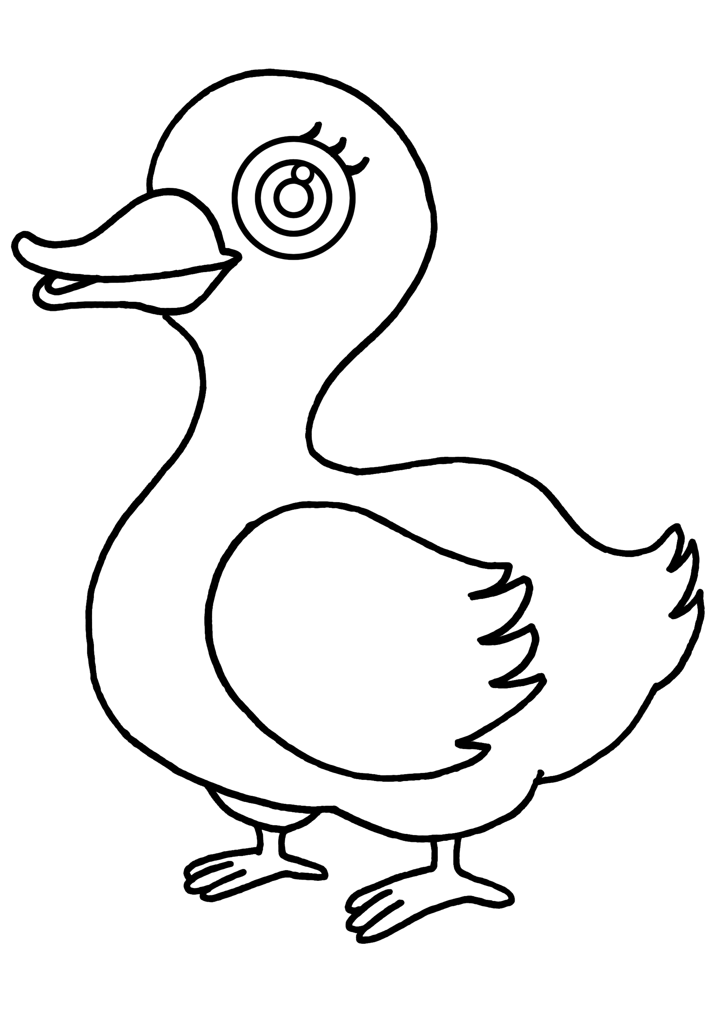 55 Coloring Sheet Duck 34