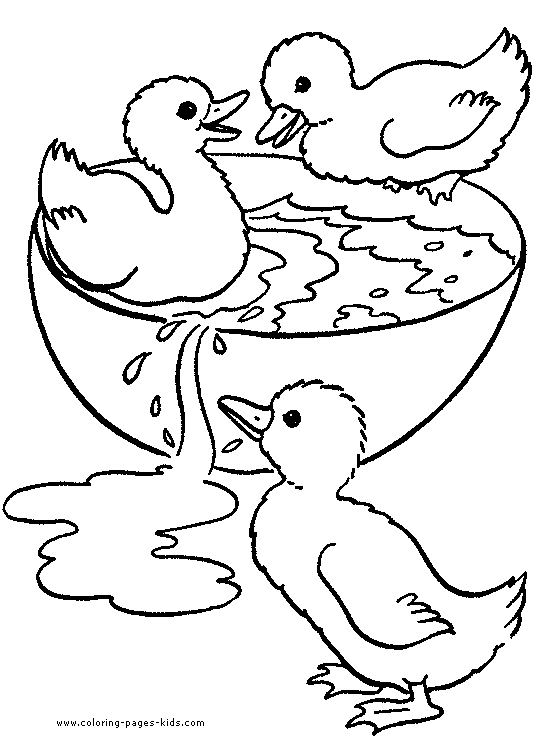 55 Coloring Sheet Duck 39