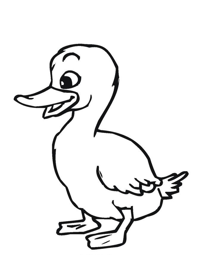 55 Coloring Sheet Duck 40