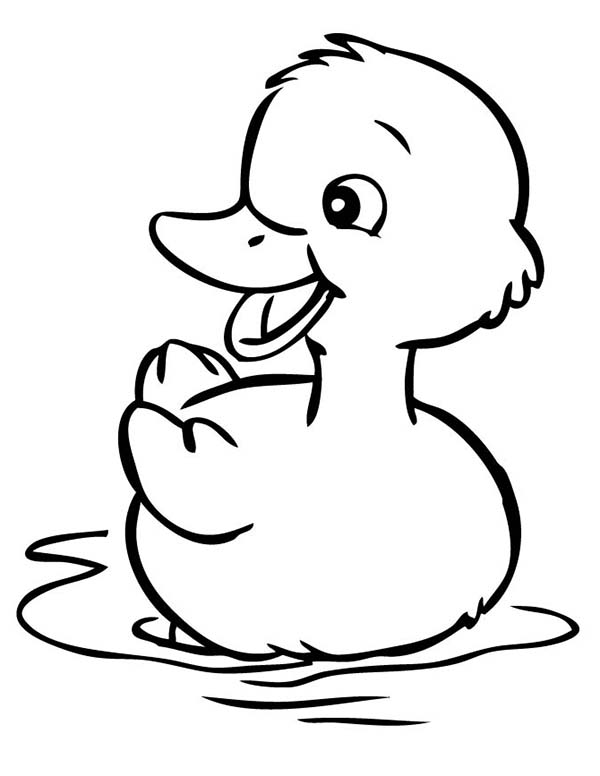 55 Coloring Sheet Duck 49