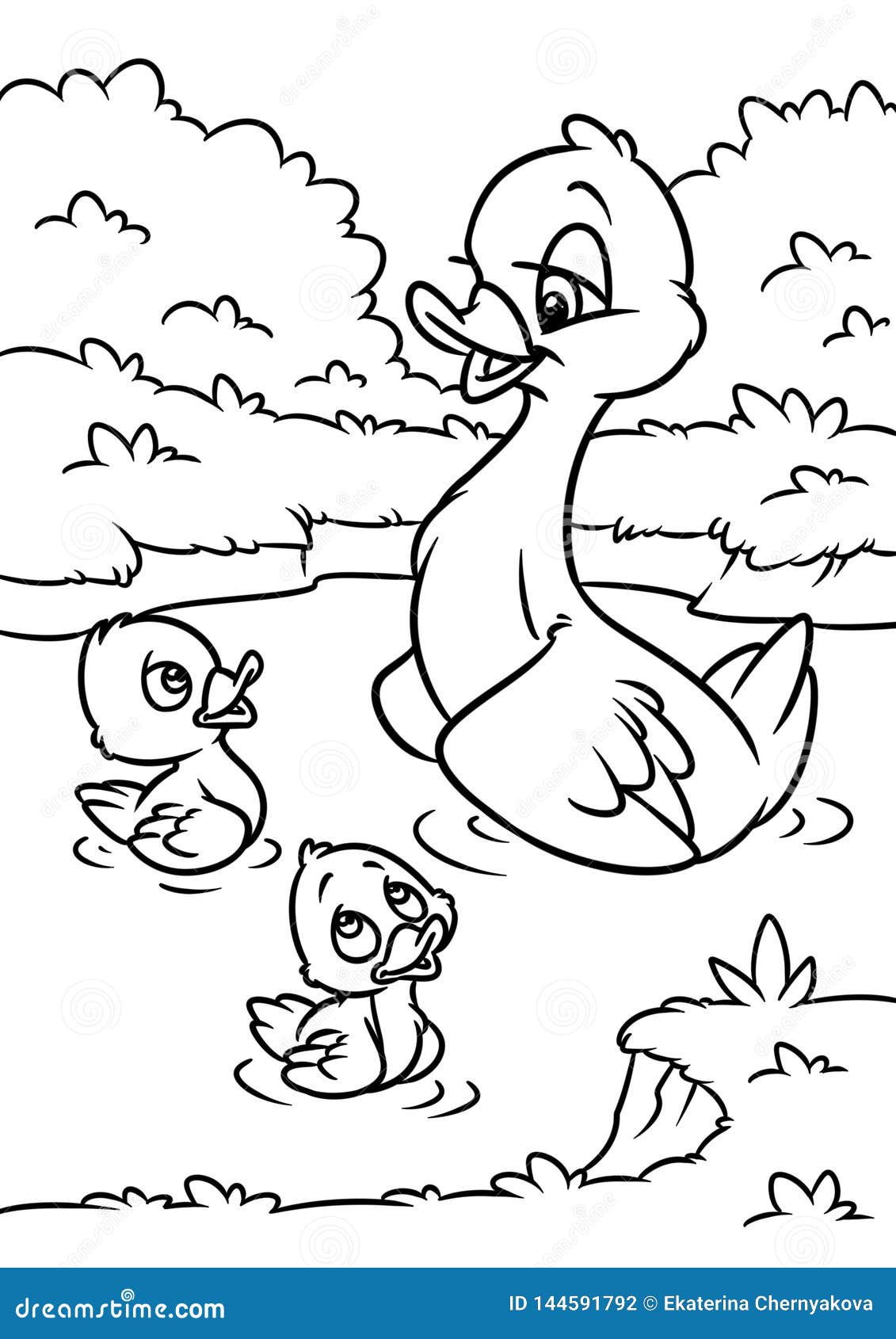 55 Coloring Sheet Duck 8