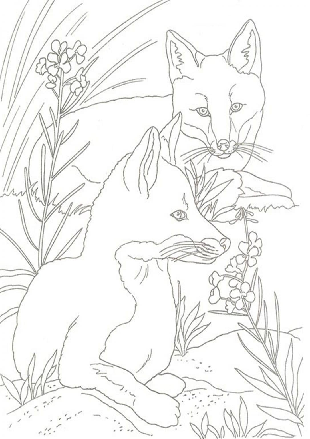 55 Free Fox Coloring Pages 34