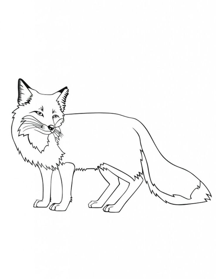 55 Free Fox Coloring Pages 35