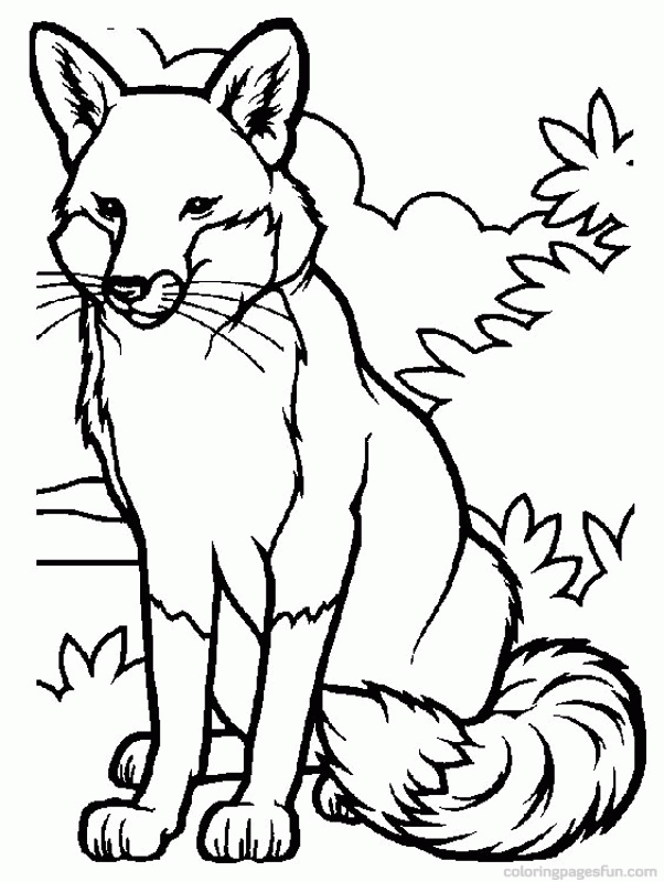 55 Free Fox Coloring Pages 53