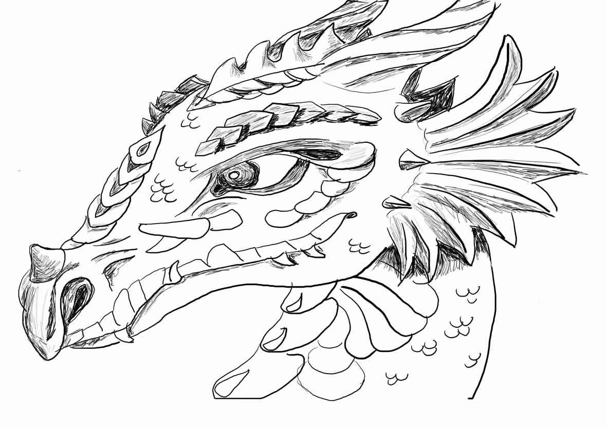 55 Printable Coloring Pages Dragons 18