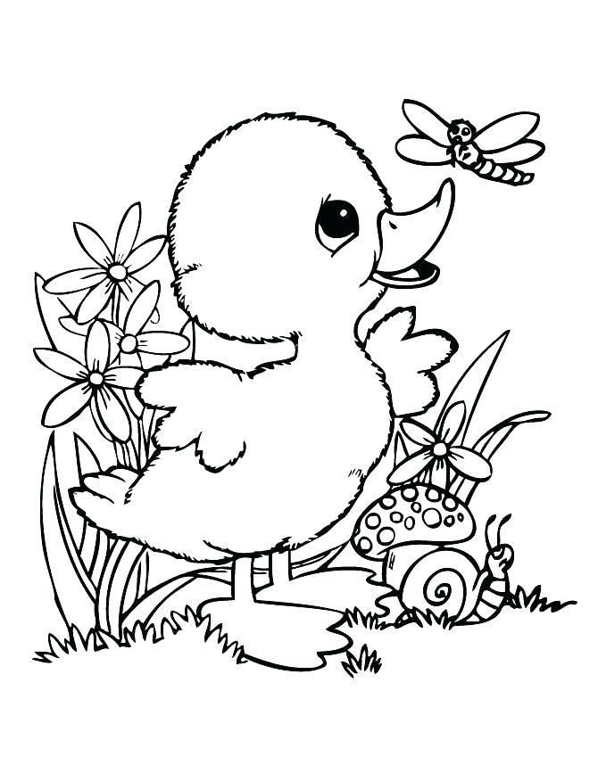 55 Rubber Duck Coloring Page 12