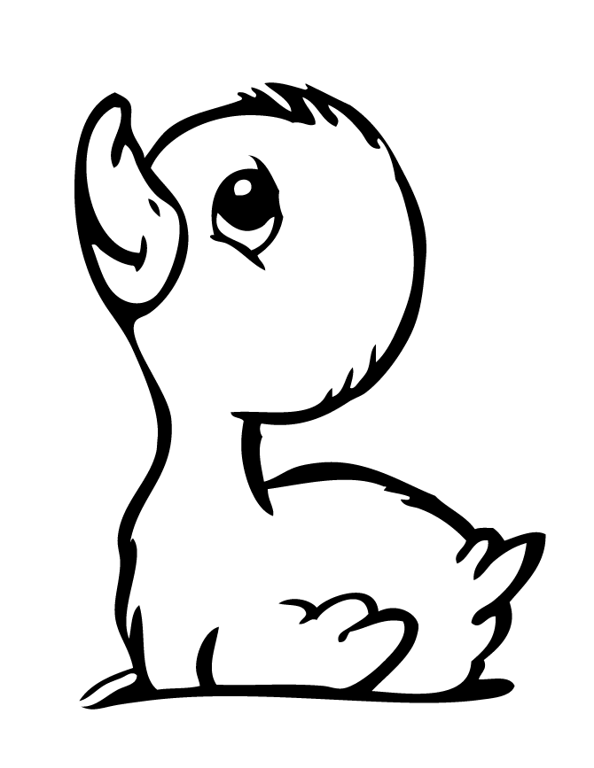 55 Rubber Duck Coloring Page 39