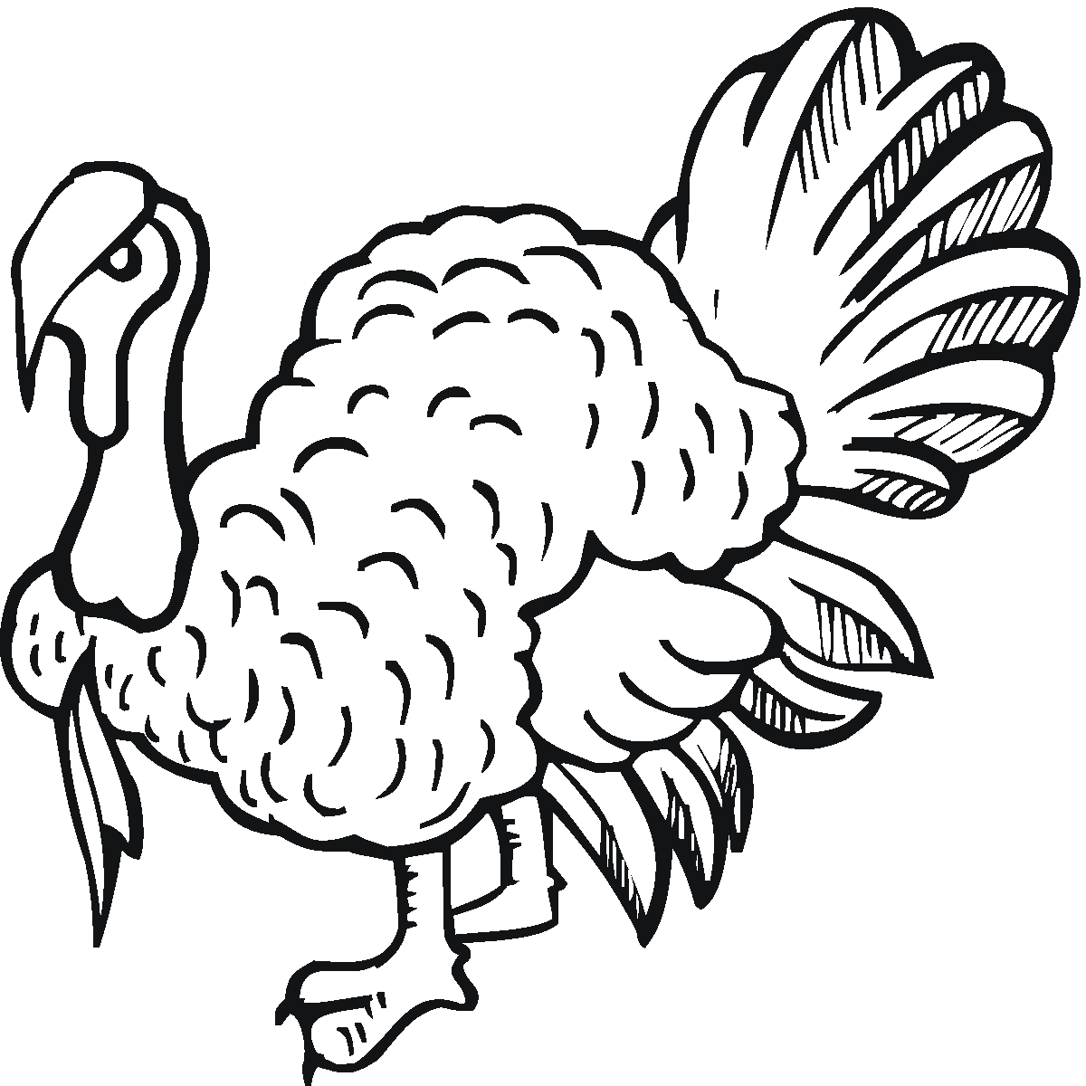 55 Turkey Printable Coloring Pages 20