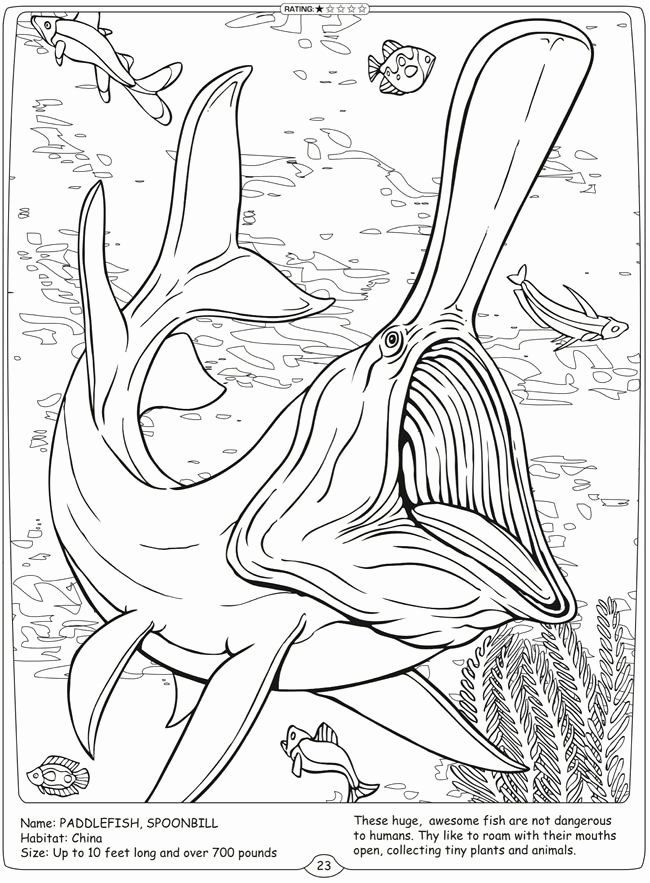 56 Sea Monster Coloring Pages 11