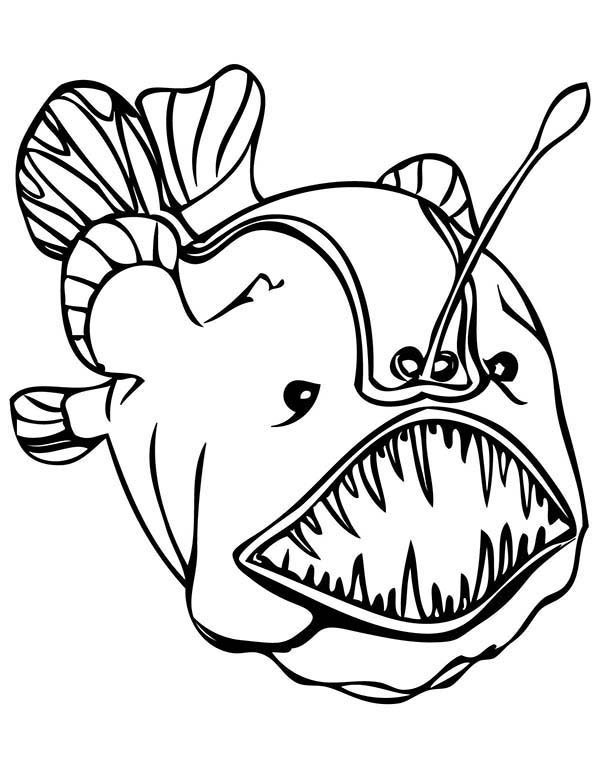 56 Sea Monster Coloring Pages 34