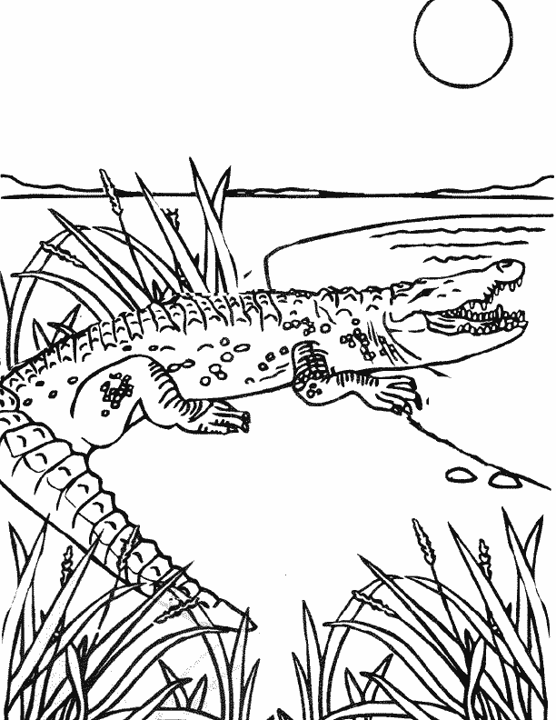 56 Sea Monster Coloring Pages 4