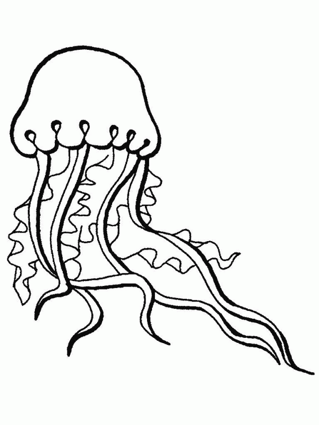 56 Sea Monster Coloring Pages 48