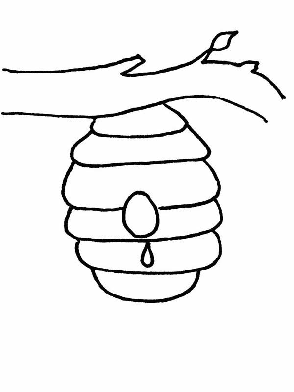 60 Beehive Coloring Page 45