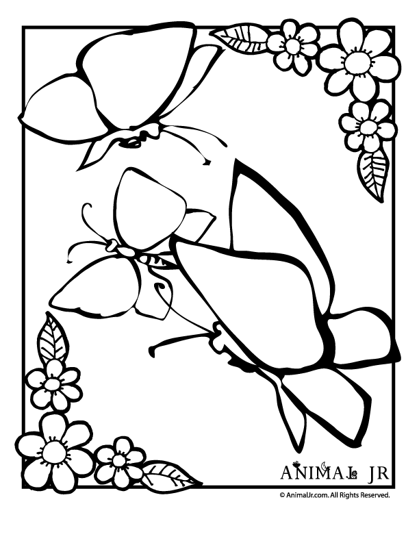 60 Butterfly Coloring Pages For Preschool 35