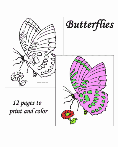 60 Butterfly Coloring Pages For Preschool 43