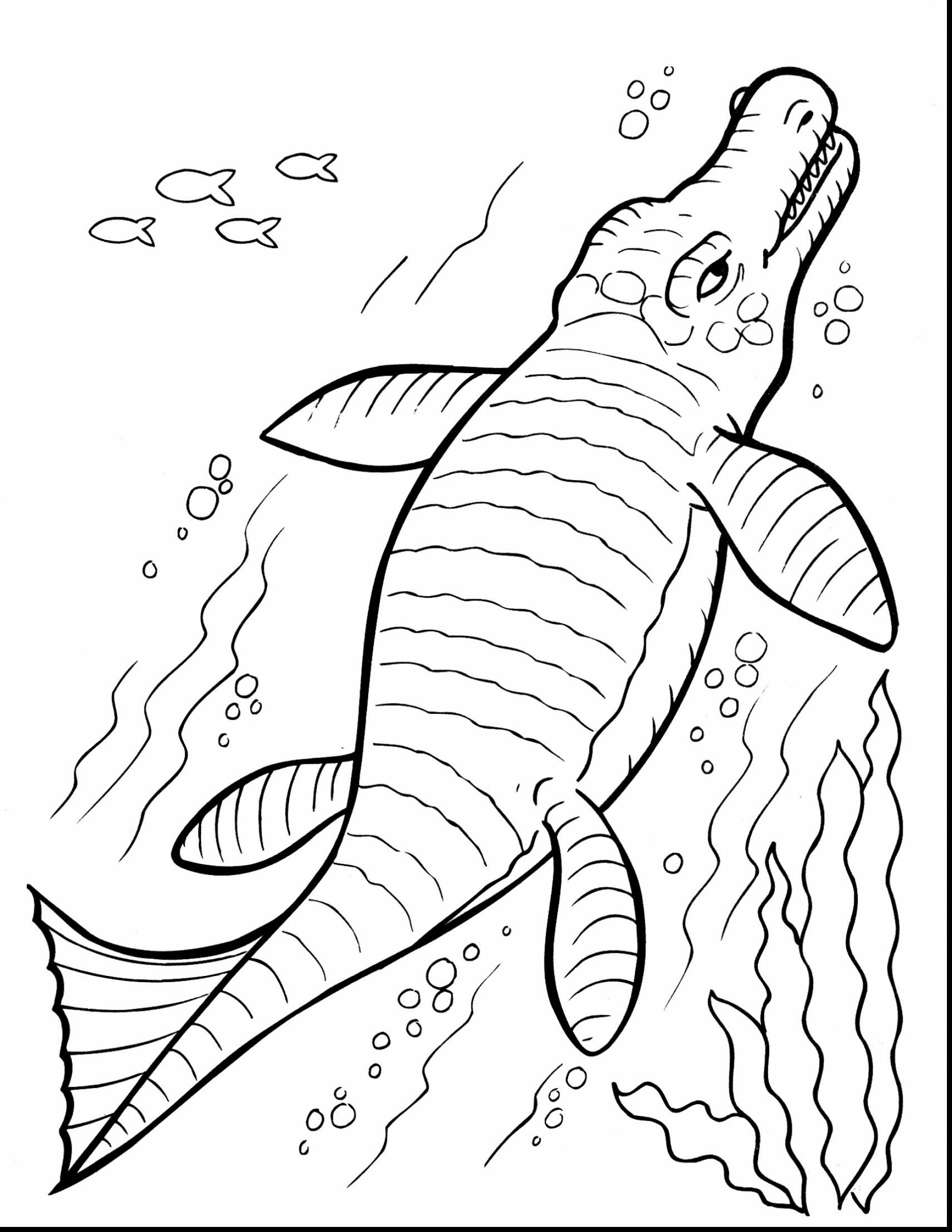 80 Dinosaur Printables Coloring Pages 52