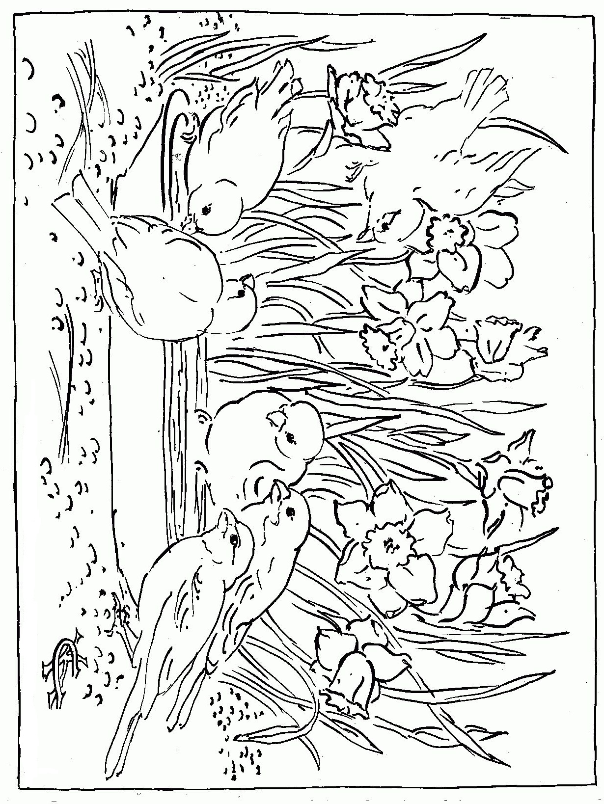 80 Printable Spring Garden Coloring Pages 55