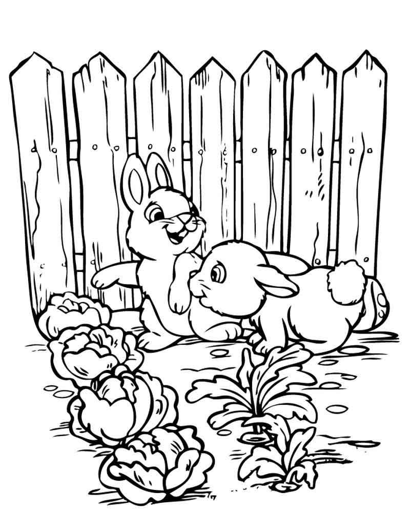 80 Printable Spring Garden Coloring Pages 56