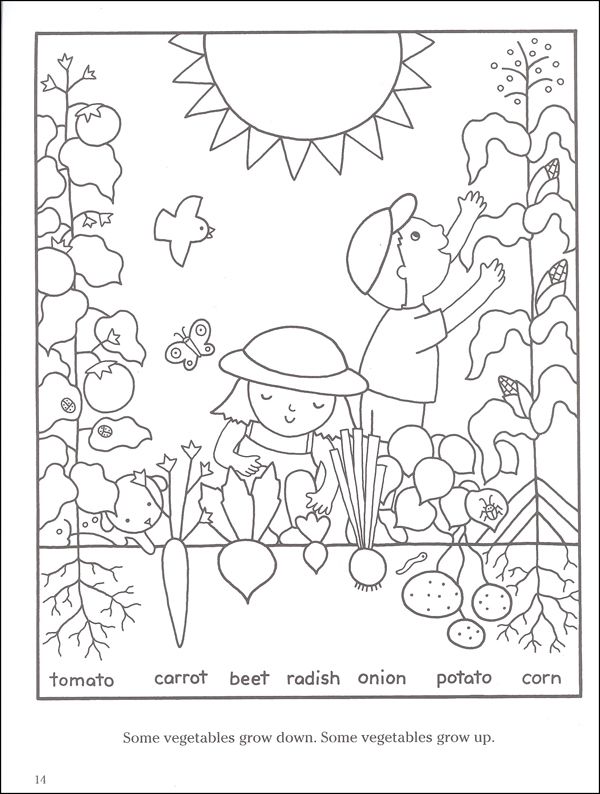 80 Printable Spring Garden Coloring Pages 8